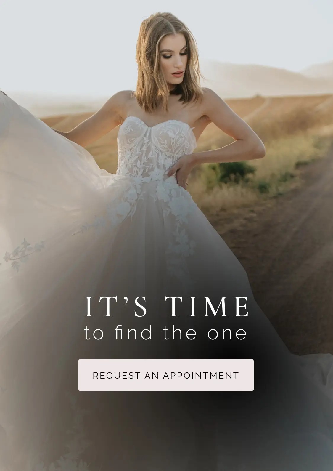 Model wearing lace white wedding gown